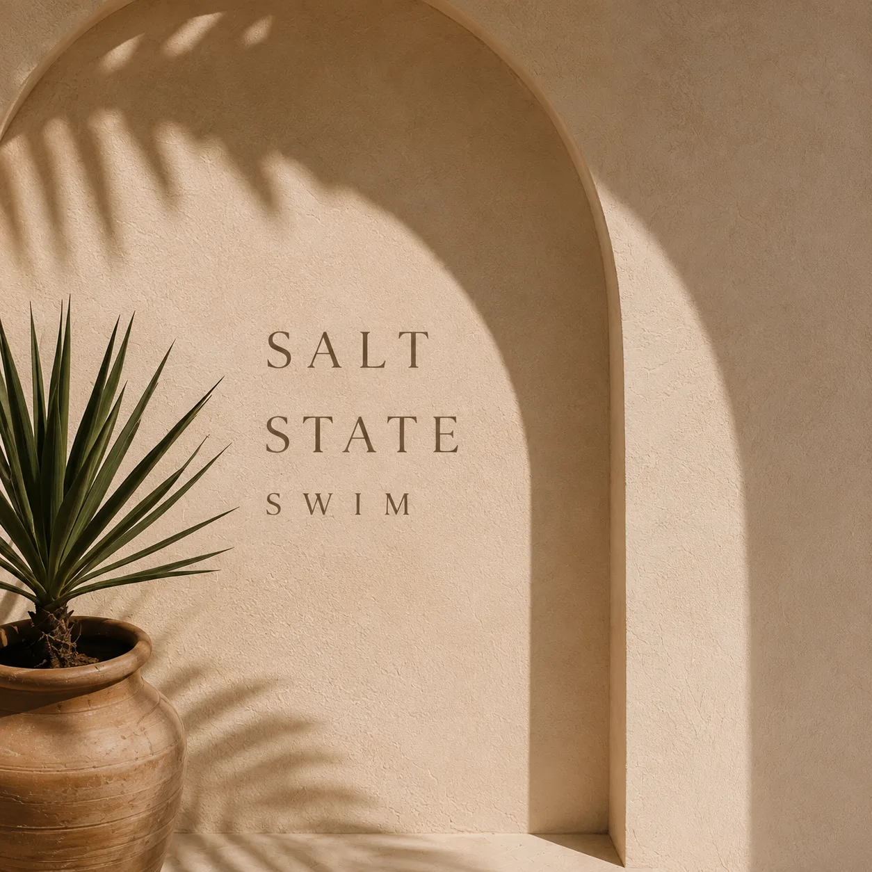 Salt State Swim wordmark on a sunlit plaster arch beside a potted palm